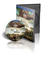 مستند تولد در حیات وحش