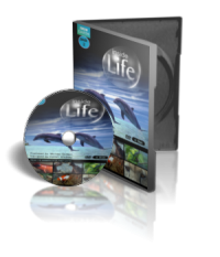 مستند سیاره زمین BBC پک 2