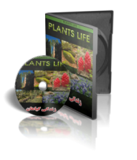 مستند زندگی گیاهان plants life