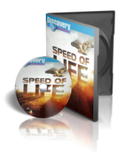 مستند حیات وحش سرعت زندگی speed of life