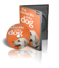 مستند زندگی اسرارآمیز سگ