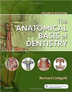 کتاب آناتومیکال بیسیس آف دنتیستری 2018 The Anatomical Basis of Dentistry 4th Edition