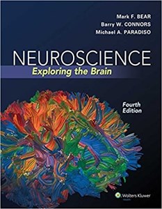 کتاب نوروساینس Neuroscience : Exploring the Brain