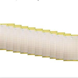 چسب مگس کش تارومار 10تایی ازحشرات ریز راحت شوید 