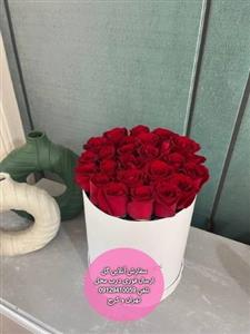 قیمت روز گل و گیاه غرب تهران ستاری