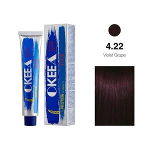 رنگ مو شماره 4.22 حجم 100 میل اکیا OKEEA