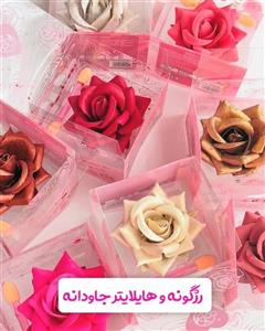 رژگونه و هایلایتر گل رز جاودان 
