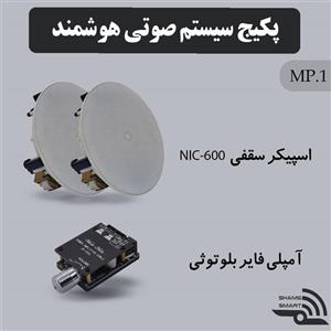 پکیج سیستم صوتی هوشمند MP10
