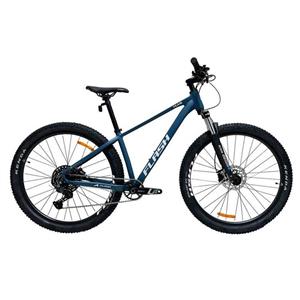 دوچرخه کوهستان مدل  TEAM هیدرولیکی 1x10 دنده دوشاخ سر سنتور سایز طوقه 29 اینچ