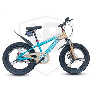 دوچرخه فیمیکس Feimx سایز 20 مدل TM2.5