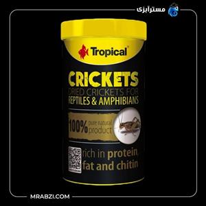 غذا ماهی تروپیکال مدل جیرجیرک | Crickets