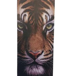 برچسب ستون سواری رنگی فیس ببر ( پک ۲ عددی )