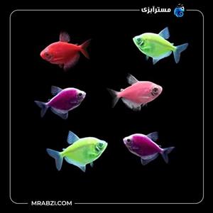 پک ماهی کالر ویدو رنگی 50 عددی