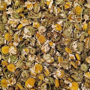 بابونه ریز شیرین