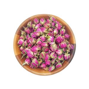 غنچه گل سرخ (محمدی)