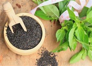 دانه ریحان سبز (تخم شربتی)