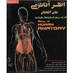 نرم افزار آموزش اطلس آناتومی بدن انسان نشر آویژه