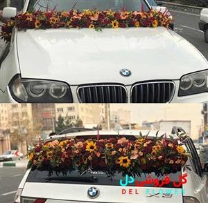 ماشین عروس زیبا و شیک 685