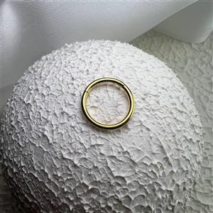 پیرسینگ حلقه ای طلایی 1129 (10mm)