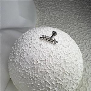 پیرسینگ گوش  نقره ای طرح برگ کد 198 