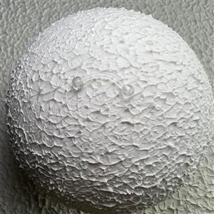 پیرسینگ ابرو و روک سیلیکونی کد 407