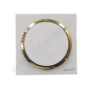 کلید تبدیل مدل آوا ساده سفید زه طلایی (مکانیزم قاب زه طلایی)