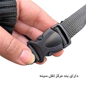 کوله پشتی طرح انتلر مدل ANTLER - ANT302010