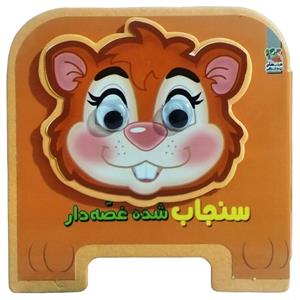 کتاب سنجاب شده غصه دار اثر مهدی مردانی انتشارات سایه گستر