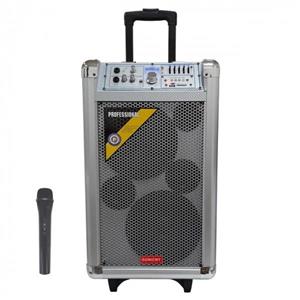 اکو آمپلی فایر سونیکنی مدل SY-88A