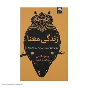 کتاب زندگی معنا اثر جیمز هالیس نشر میلکان
