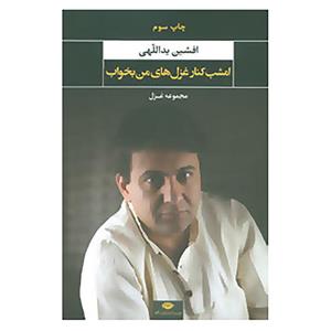 کتاب امشب کنار غزل های من بخواب اثر افشین یداللهی