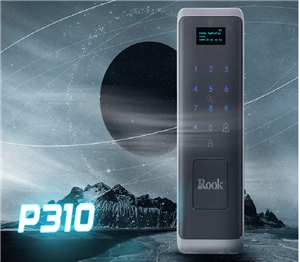 قفل دیجیتال ROOK برند کارن مدل P310