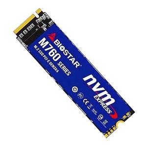 اس اس دی 256 گیگابایت بایوستار مدل M760 M.2 2280 PCI-E NVMe