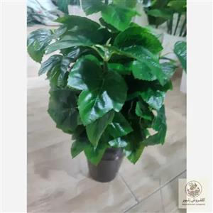 دسته گل رز هلندی طرح نیایش