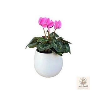 دسته گل رز یک طرفه غنچه کد 958
