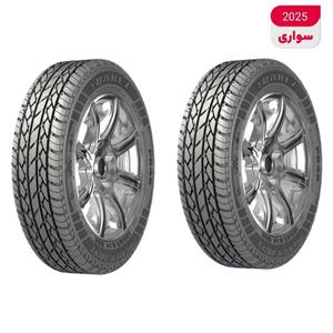 لاستیک بارز 185/65R 14 گل P648