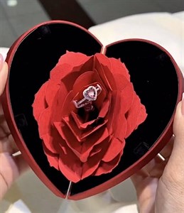 باکس رز کتابی جمع شو