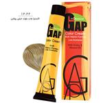 رنگ مو سری هایلایت گپ GAP