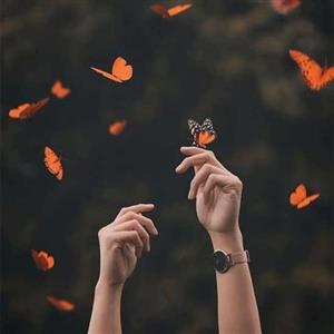 دانلود pdf رمان حس ممنوعه اثر نیلوفر قائمی فر