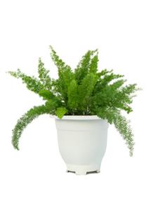 سرخس آپارتمانی