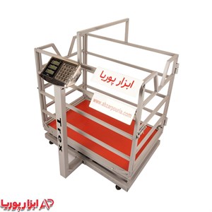 باسکول 300 کیلویی دامکش تیرکس T60/90
