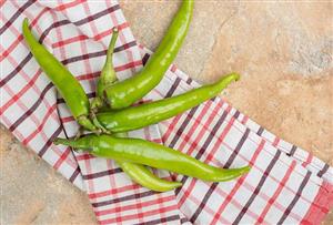 خرید و دانلود ویدیو آموزشی بهترین و ساده‌ترین روش کاشت فلفل در خانه و کسب درآمد | کاشت و پرورش فلفل در منزل | کسب و کار در منزل