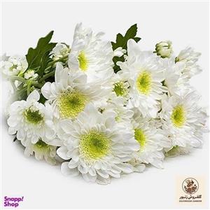 دسته گل طبیعی داوودی مینیاتوری رنگ سفید