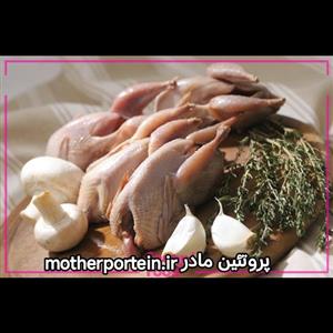 گوشت بلدرچین (منجمد) 