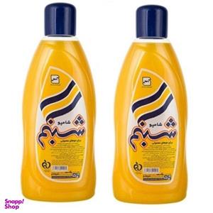 شامپو مو شبنم (Shabnam) کد 02 حجم 625 میلی‌لیتر بسته 2 عددی