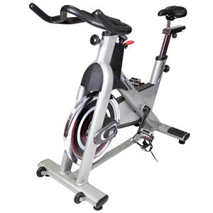 اسپینینگ ایمپالس مدل PS300