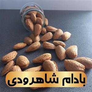 بادام درختی ایرانی شاهرودی 12 (دوپوسته) پرمغز و آجیلی