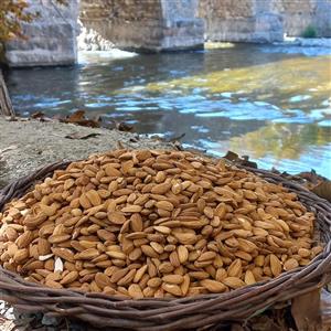مغز بادام درختی ایرانی مامایی ( سایز درشت) صادراتی تازه پرچرب