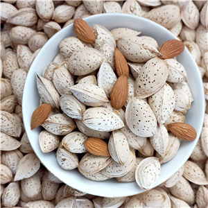 بادام درختی ایرانی پوست کاغذی (محب منقا) فروش عمده