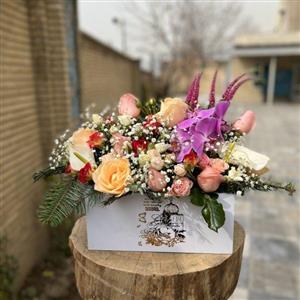 باکس گل ورونیکا